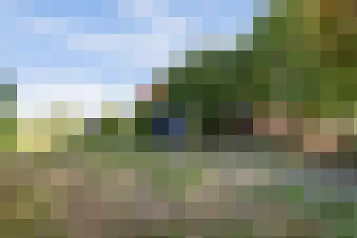 Burgerstraat 18 Gameren thumbnail 55