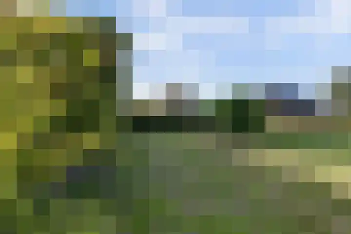 Burgerstraat 18 Gameren thumbnail 56