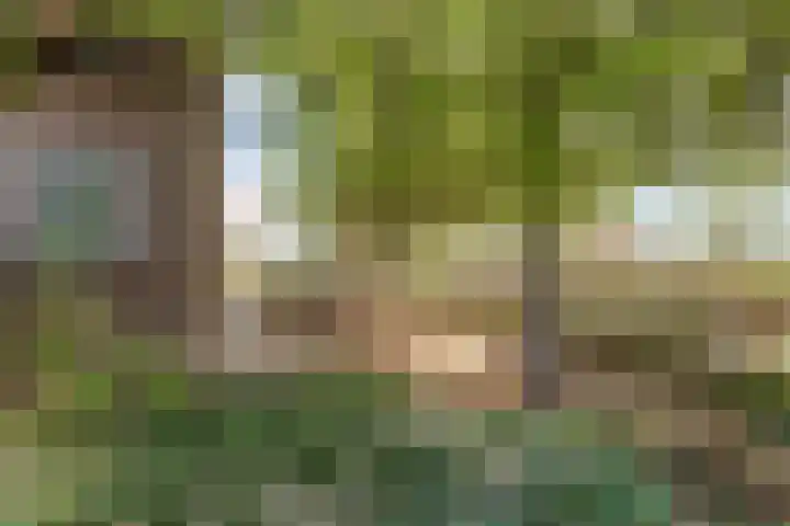Burgerstraat 18 Gameren thumbnail 57