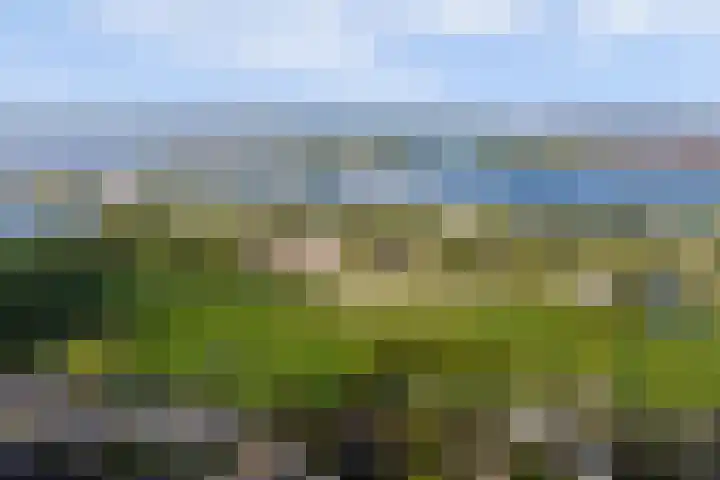 Burgerstraat 18 Gameren thumbnail 66