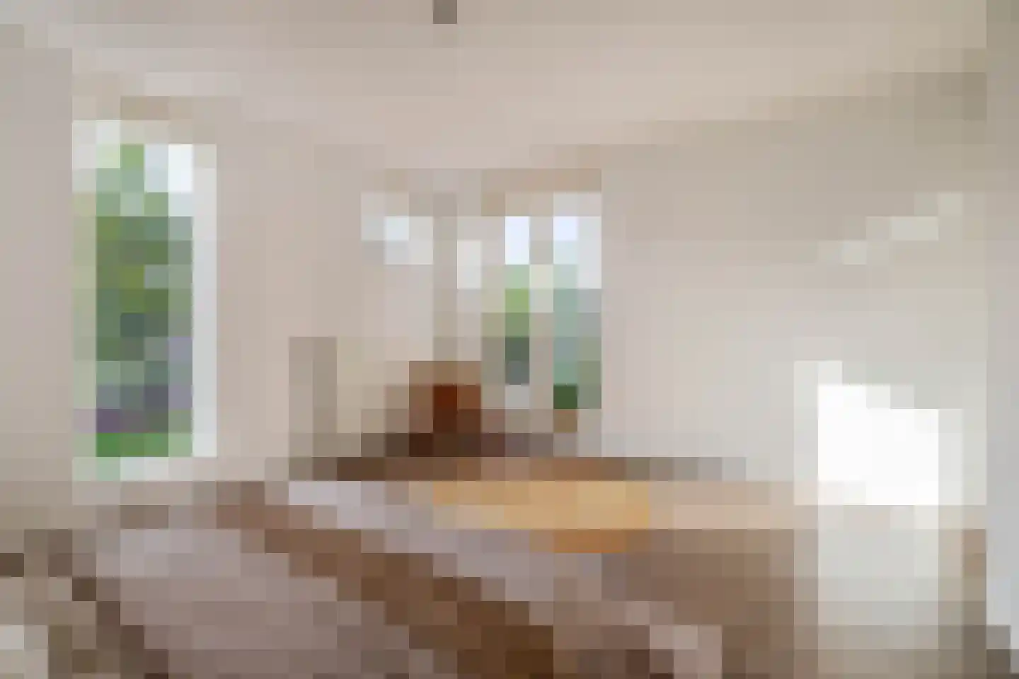 Burgerwaard 55 Arnhem thumbnail 21