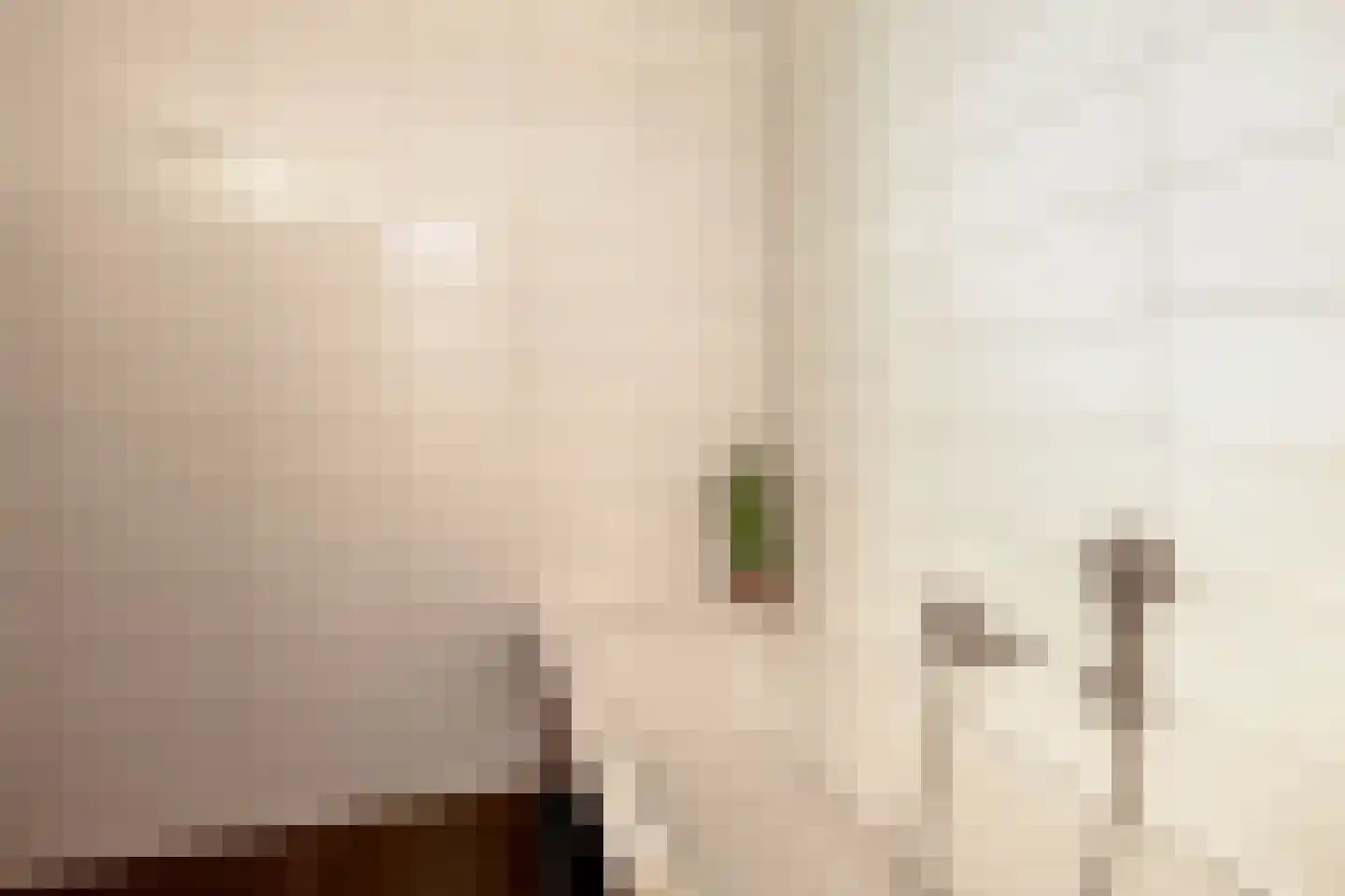 Burgerwaard 55 Arnhem thumbnail 25