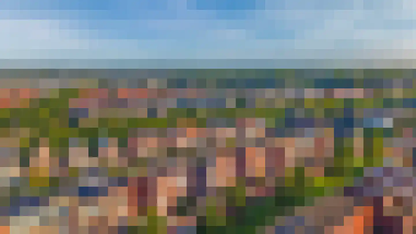 Burgerwaard 55 Arnhem thumbnail 46