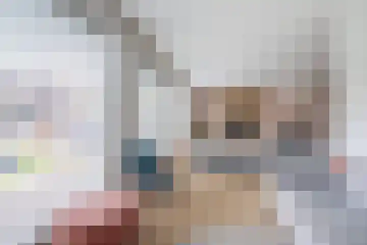 Burgerwaard 63 Arnhem thumbnail 11
