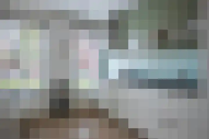 Burgerwaard 63 Arnhem thumbnail 13