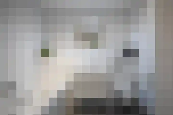 Burgerwaard 63 Arnhem thumbnail 20