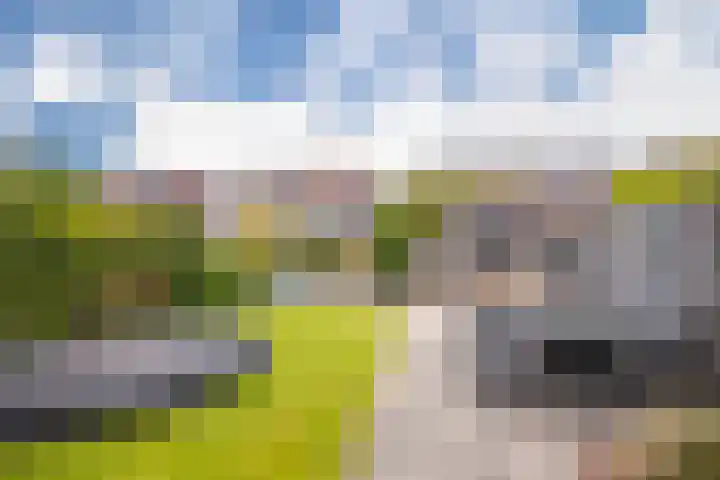 Burgerwaard 63 Arnhem thumbnail 29
