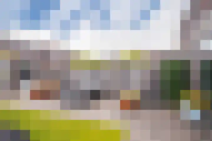 Burgerwaard 63 Arnhem thumbnail 30
