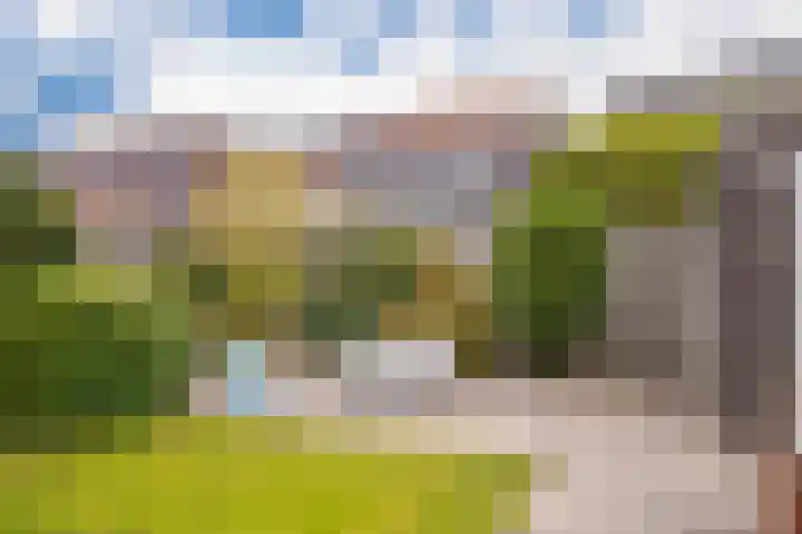 Burgerwaard 63 Arnhem thumbnail 31