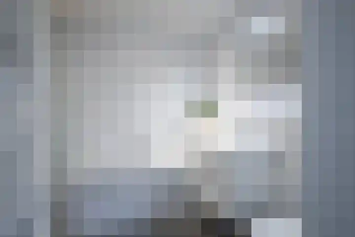 Burgerwaard 63 Arnhem thumbnail 4