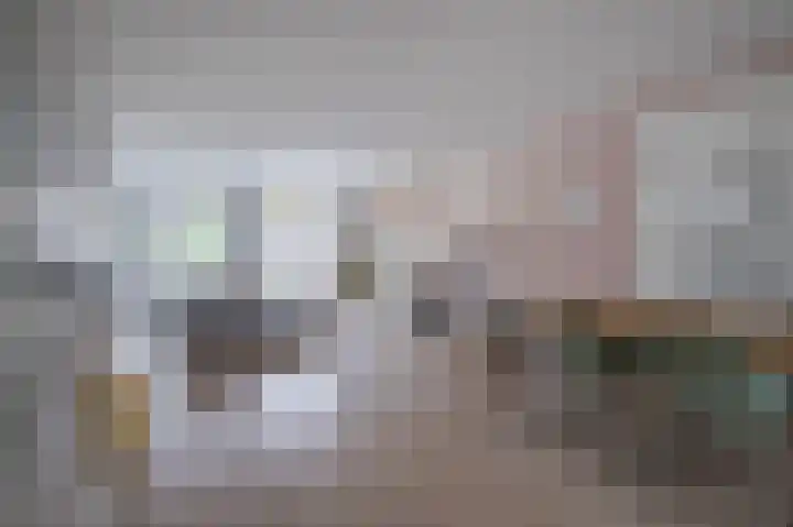 Burgerwaard 63 Arnhem thumbnail 7