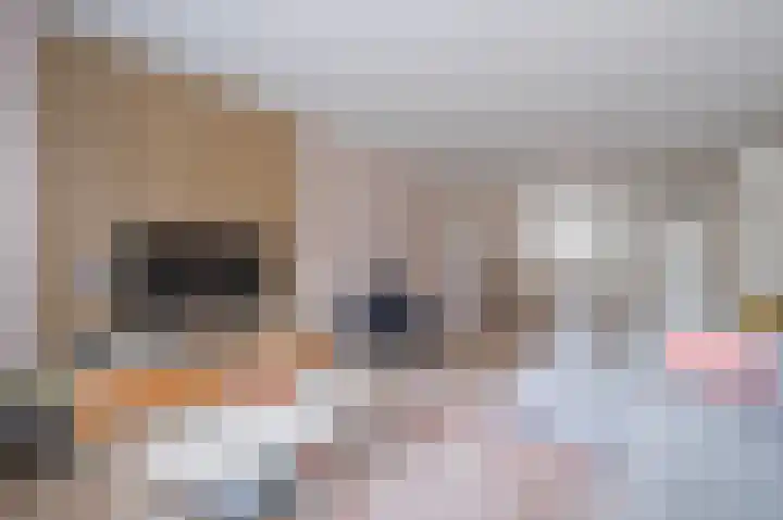 Burgerwaard 63 Arnhem thumbnail 9