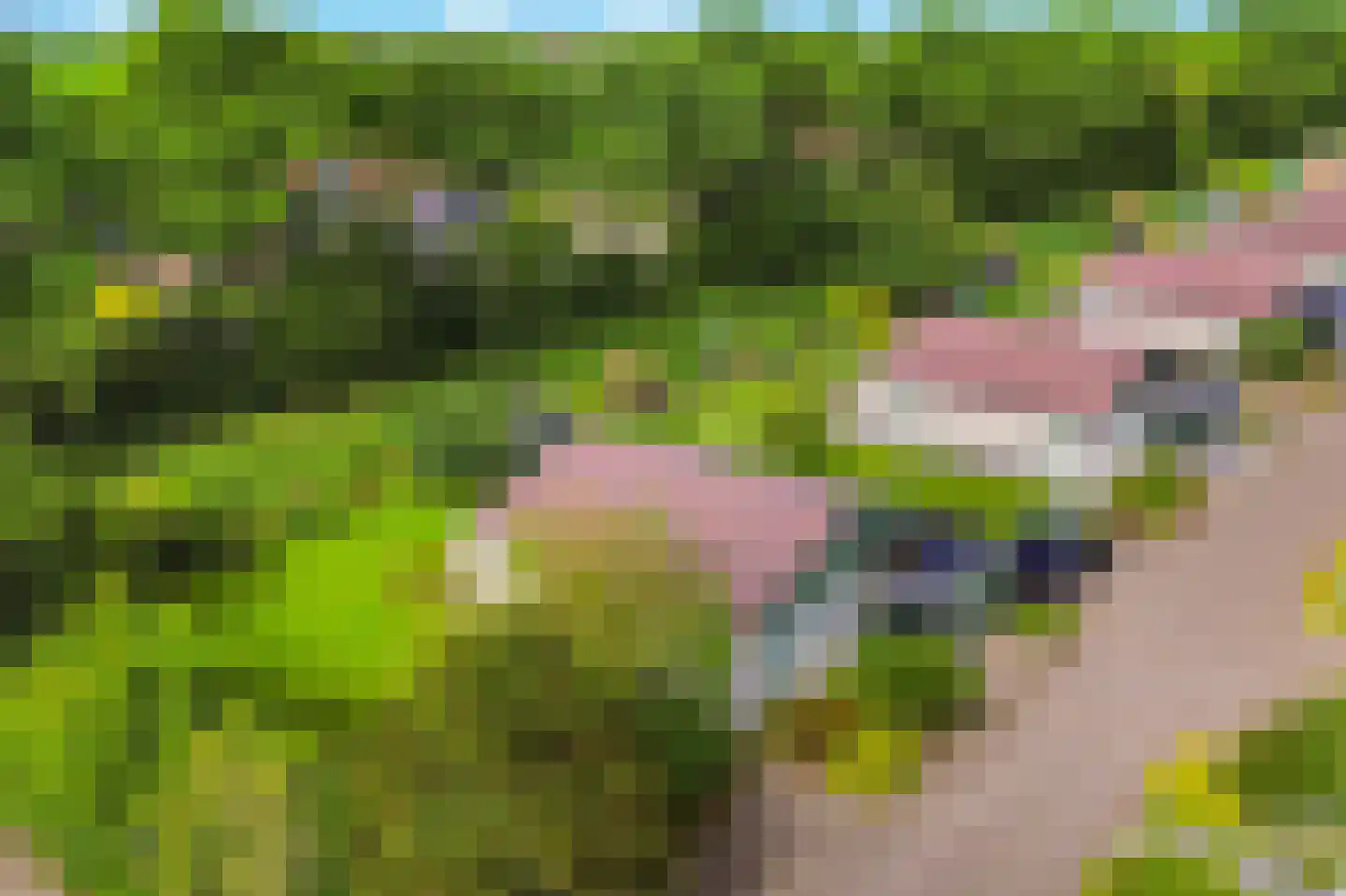 Burgerweg 13 h1 Burgerbrug thumbnail 23