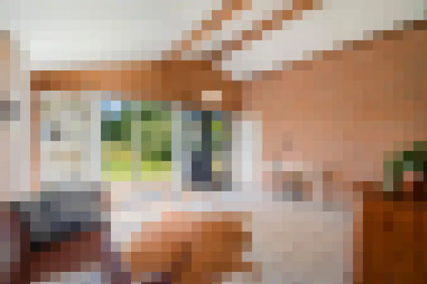 Burgerweg 13 h1 Burgerbrug thumbnail 6