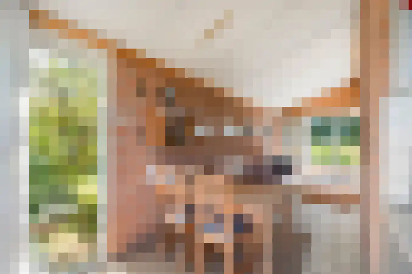 Burgerweg 13 h1 Burgerbrug thumbnail 7