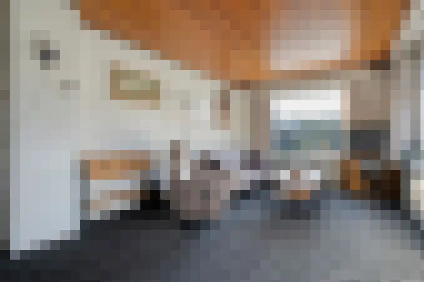 Burgerzinstraat 1 Zuidwolde thumbnail 12