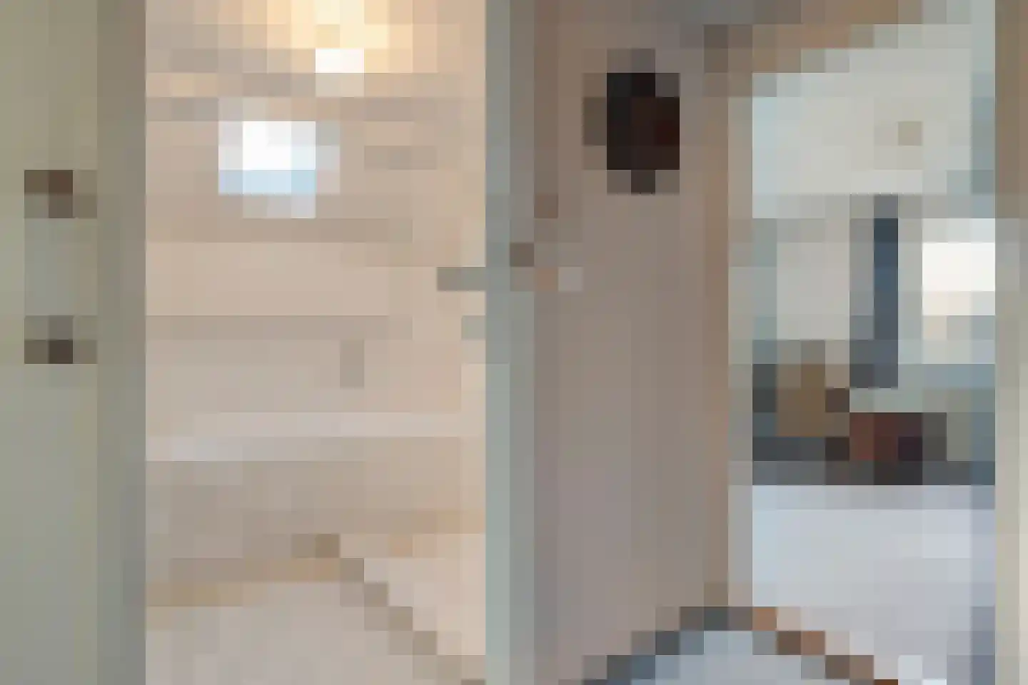 Burgerzinstraat 1 Zuidwolde thumbnail 21