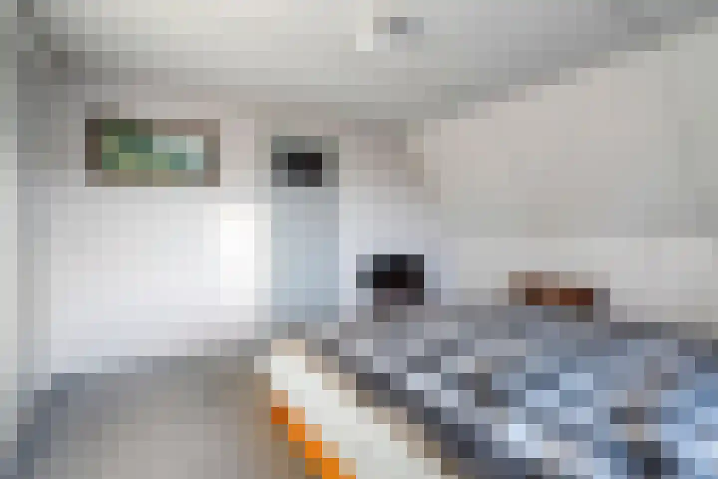 Burgerzinstraat 1 Zuidwolde thumbnail 24