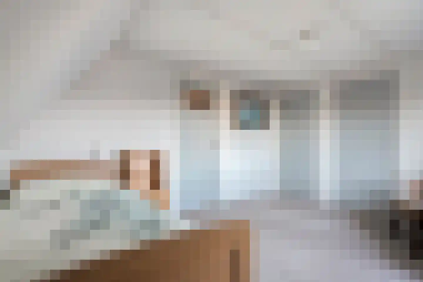 Burgerzinstraat 1 Zuidwolde thumbnail 26