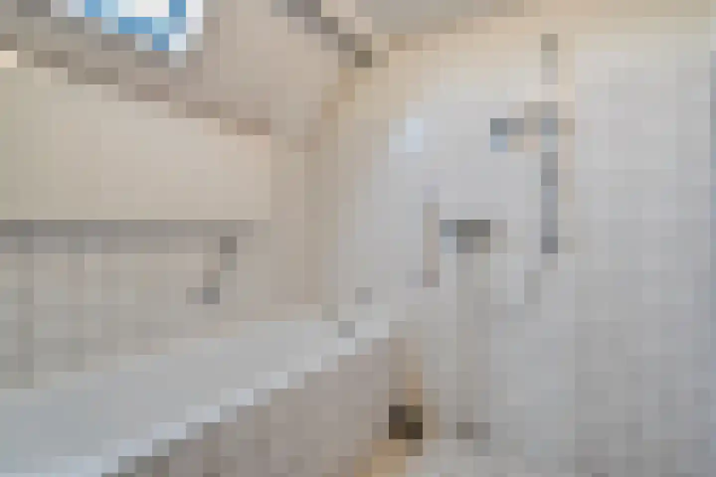 Burgerzinstraat 1 Zuidwolde thumbnail 27
