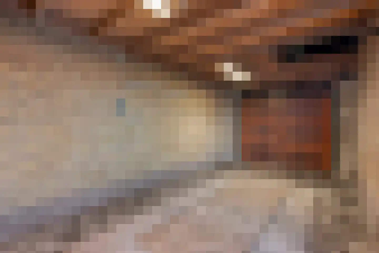 Burgerzinstraat 1 Zuidwolde thumbnail 30