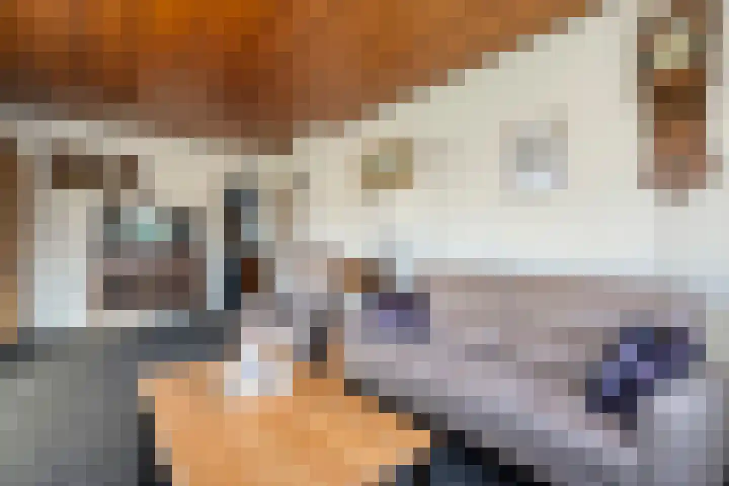 Burgerzinstraat 1 Zuidwolde thumbnail 5