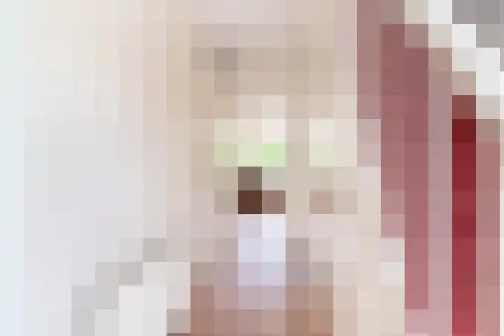Burgerzinstraat 11 Breda thumbnail 11