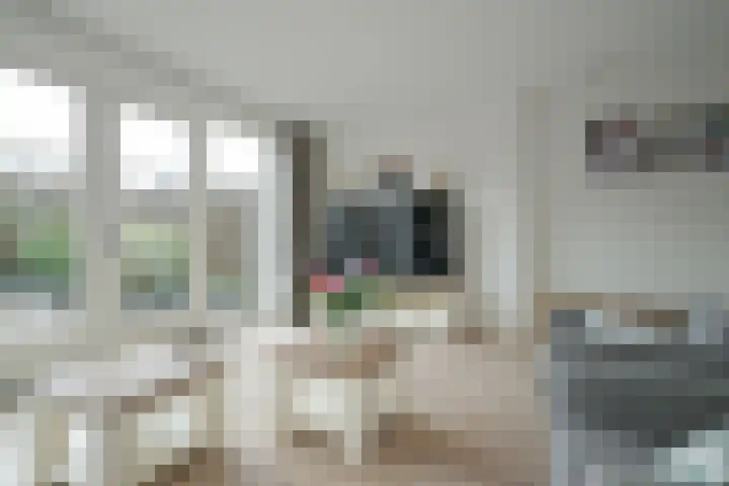 Burgerzinstraat 11 Breda thumbnail 13