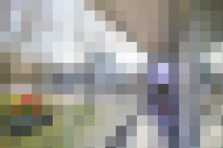 Burgerzinstraat 11 Breda thumbnail 20