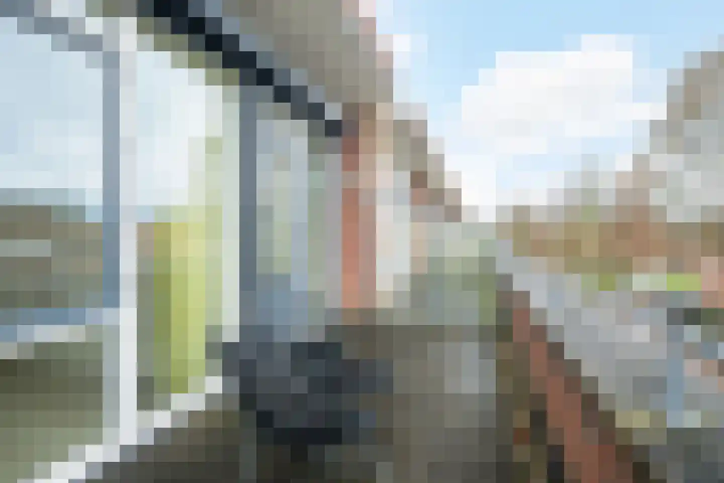 Burgerzinstraat 11 Breda thumbnail 35