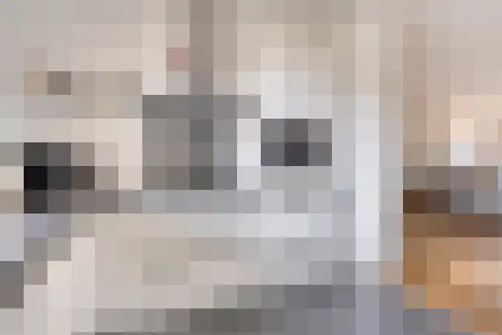 Burgerzinstraat 31 Breda thumbnail 19