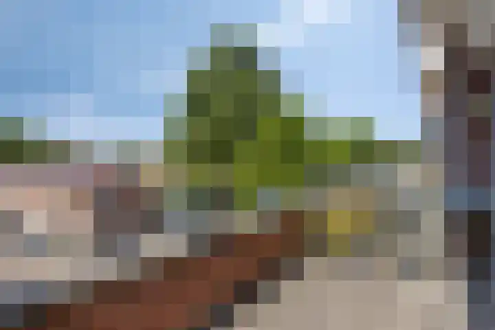 Burgerzinstraat 31 Breda thumbnail 37