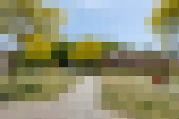 Burgerzinstraat 31 Breda thumbnail 42