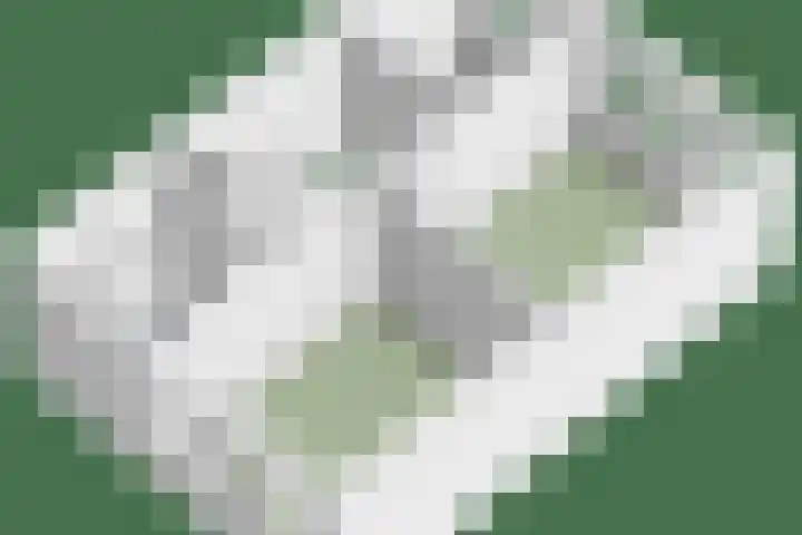 Burgerzinstraat 31 Breda thumbnail 44