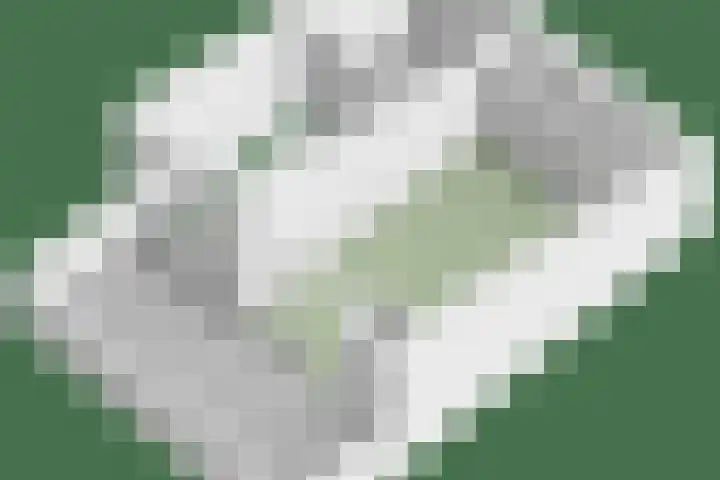 Burgerzinstraat 31 Breda thumbnail 45