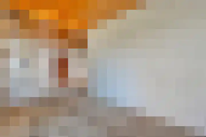 Burgerzinstraat 9 Zuidwolde thumbnail 13