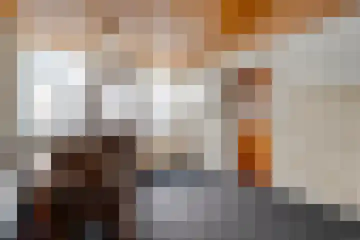 Burgerzinstraat 9 Zuidwolde thumbnail 14