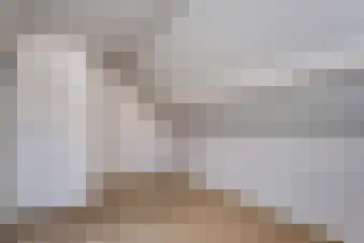 Burgerzinstraat 9 Zuidwolde thumbnail 20