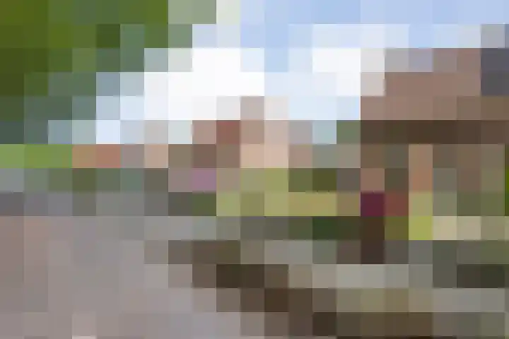 Burgerzinstraat 9 Zuidwolde thumbnail 35