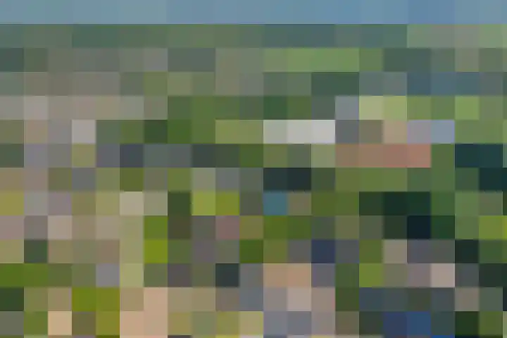 Burgerzinstraat 9 Zuidwolde thumbnail 38
