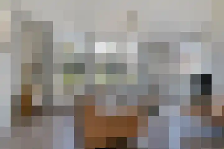 Burggraaf 1 Vierlingsbeek thumbnail 10