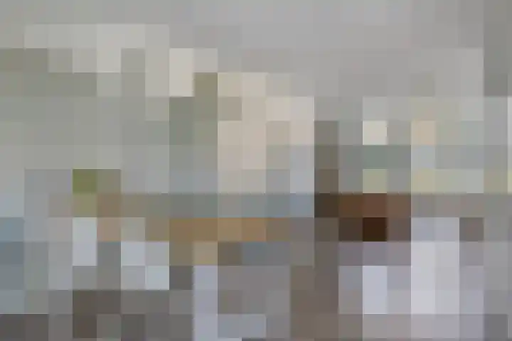 Burggraaf 1 Vierlingsbeek thumbnail 15