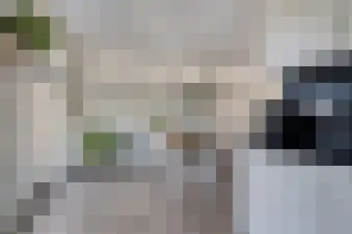 Burggraaf 1 Vierlingsbeek thumbnail 18