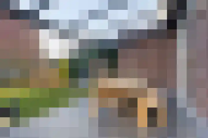 Burggraaf 1 Vierlingsbeek thumbnail 32