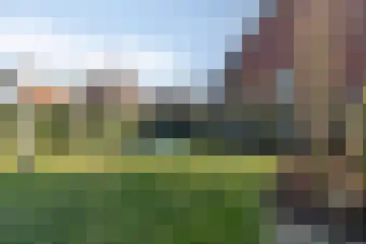 Burggraaf 1 Vierlingsbeek thumbnail 34