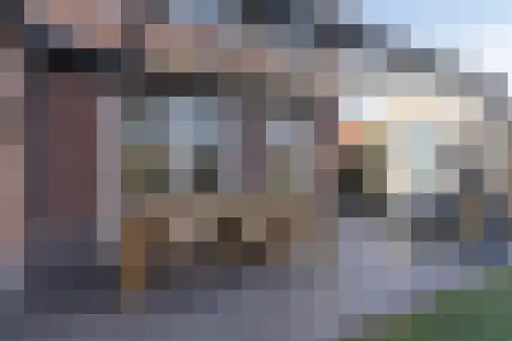Burggraaf 1 Vierlingsbeek thumbnail 35