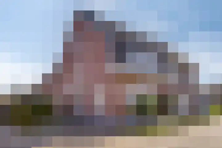 Burggraaf 1 Vierlingsbeek thumbnail 5