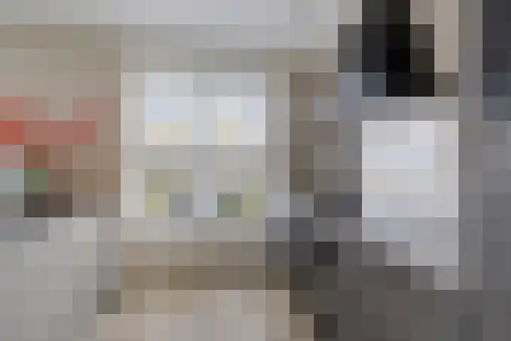 Burggraaf 13 Heerenveen thumbnail 12