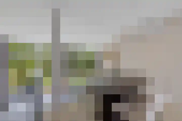 Burggraaf 13 Heerenveen thumbnail 13
