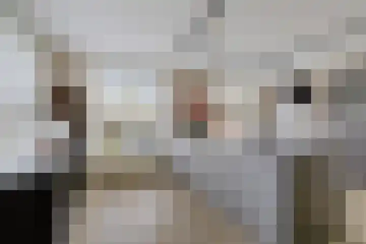 Burggraaf 13 Heerenveen thumbnail 14